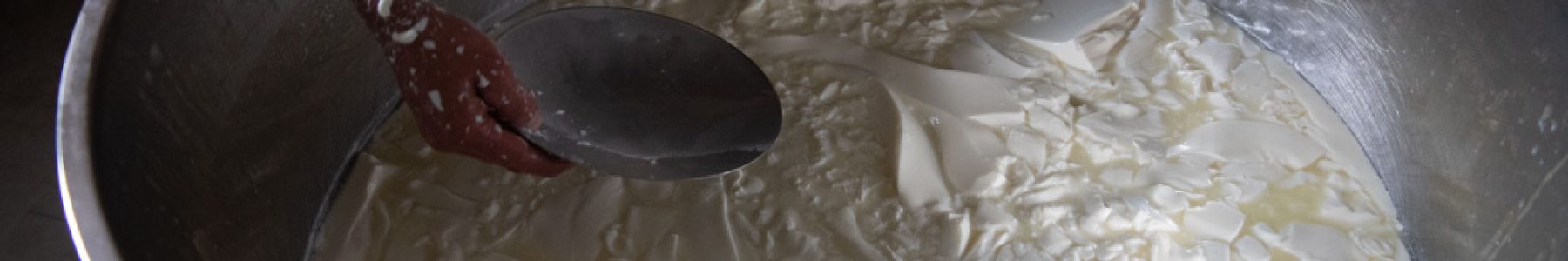 Cheese-making