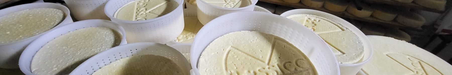 Cheeses by Michele Corti