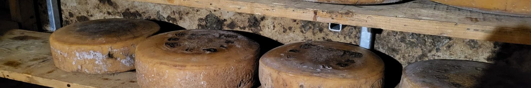 Seasoned cheeses