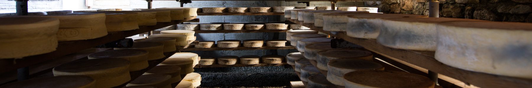 Seasoned cheeses